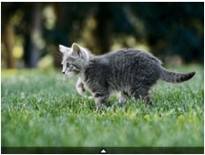 図:タッチスクリーン